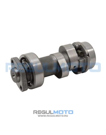 Распредвал ГРМ 172FMM, PR250, 175FMN 2, PR300