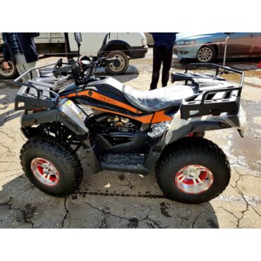 Квадроцикл Rato Cabo 200 LD - миниатюра 15