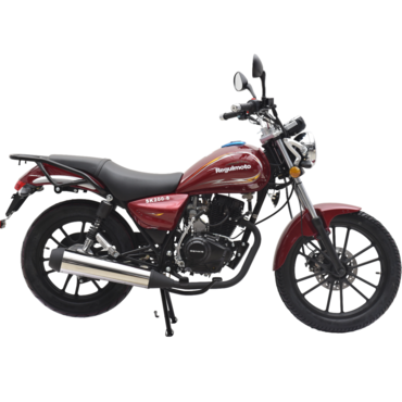 Мотоцикл Regulmoto SK 200 8 - миниатюра 4
