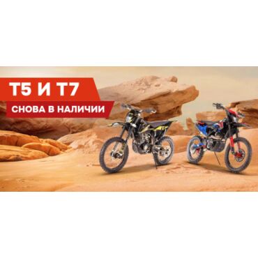 Эндуро / кроссовый мотоцикл BSE T7 Joker (ZS174MN-5A/NB300) Sport - миниатюра 5