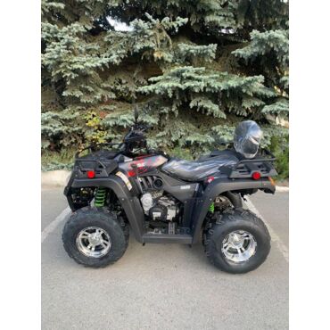 Квадроцикл Rato Cabo 250 LD - миниатюра 8