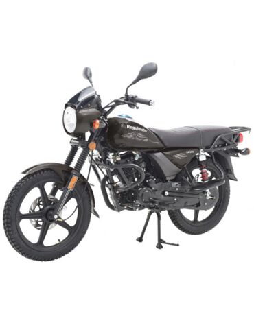 Мотоцикл Regulmoto SK200 
