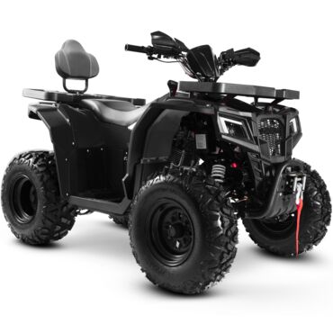 Квадроцикл Progasi Race Jumper Max Power 200 - миниатюра 5