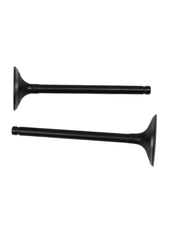 клапаны (впуск выпуск) 4Т 172FMM (CB250D F) (d 27 32) (I 86 89)