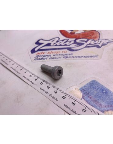 KTM AH COLLAR SCREW M8X25 ISA45 болт ( 0035080256 )