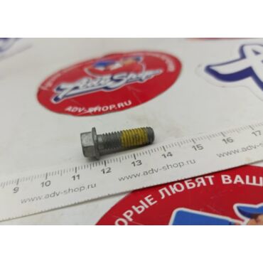 KTM винт крепления гребенки АBS M6X19 WS=8 10.9 ( 59009062019 ) - миниатюра 2