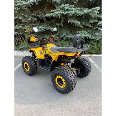 Квадроцикл Rmoto Lion 125 AR - миниатюра 4