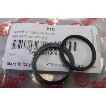 Ремкомплект заднего суппорта Brembo (24 мм) KTM EXC EXC F 17 21 / Husqvarna TE FE 2017  - миниатюра 1