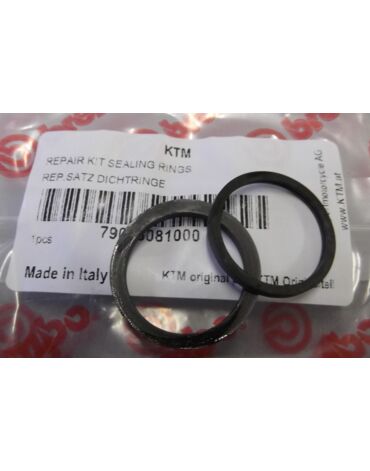 Ремкомплект заднего суппорта Brembo (24 мм) KTM EXC EXC F 17 21 / Husqvarna TE FE 2017 