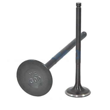 Выпускной клапан NB300 - миниатюра 1