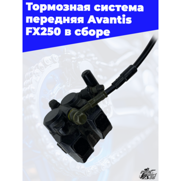 Тормозная система передняя Avantis FX250 в сборе - миниатюра 2