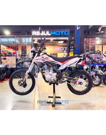 Мотоцикл Regulmoto Allroad 