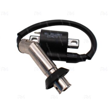 Катушка зажигания со свечным колпачком Longjia Insetto  - миниатюра 1
