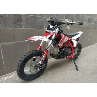 Питбайк Progasi KIDS POWER 110  (10 10) - миниатюра 6