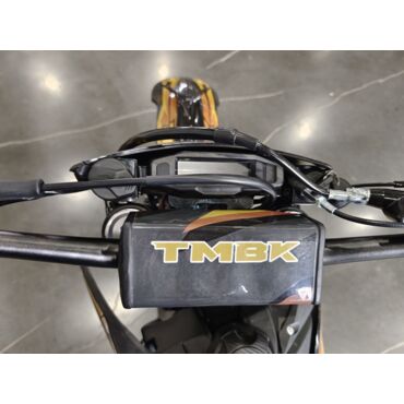 Мотоцикл TMBK Envy 300 PRO - миниатюра 14