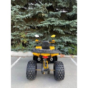 Квадроцикл Rmoto Lion 125 AR - миниатюра 5