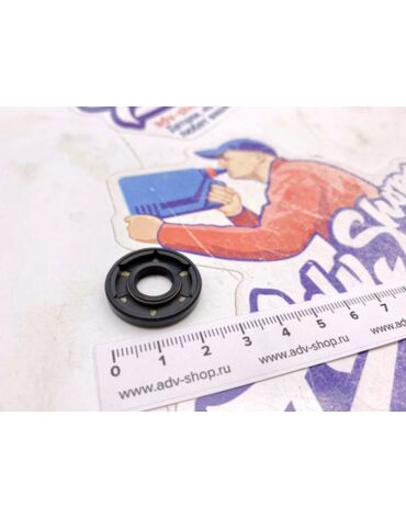 KTM сальник помпы 10X24X4 ( 0760102440 )
