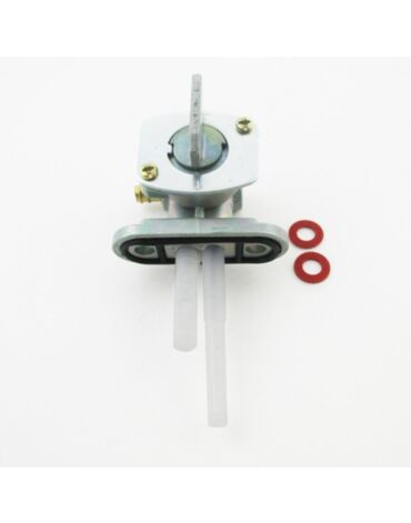 Бензокран универсальный CRF (в бак под два болта) SM PARTS