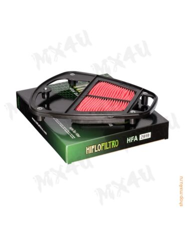 Воздушный фильтр HFA2919 Kawasaki (11013 0015)