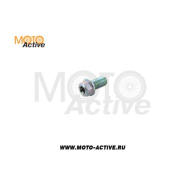 Болт М6х12 Trox T8 - миниатюра 1