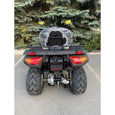 Квадроцикл Rato Cabo 250 LD - миниатюра 9