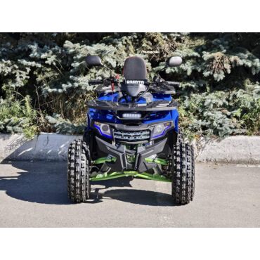 Квадроцикл Rmoto Lion 125 A - миниатюра 14