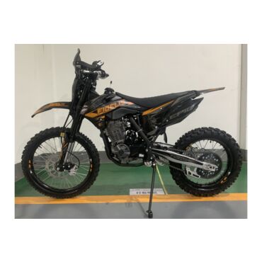 Мотоцикл кроссовый Fidelis Epic PR300 (ZS175FMN) - миниатюра 1
