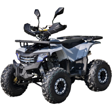 Квадроцикл Rmoto Lion 125 AА - миниатюра 6