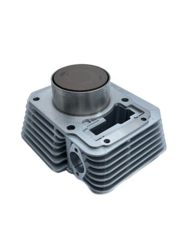ЦПГ (поршневая) 172FMM 5 (PR250 сбалансиром)