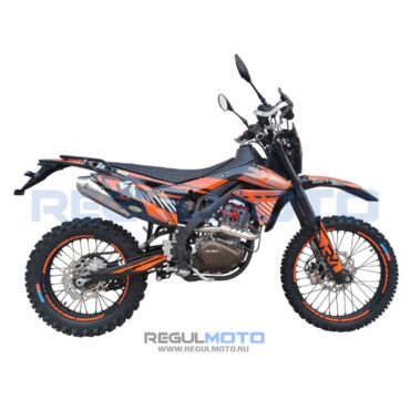 Мотоцикл Regulmoto ZR PR 300 4 valves 6 Gear с ПТС  - миниатюра 1