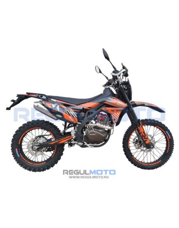 Мотоцикл Regulmoto ZR PR 300 4 valves 6 Gear 