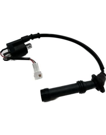 Катушка зажигания 182MN инж. CS NC300S Avantis Enduro 300 pro 2022-...