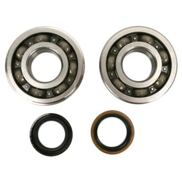Комплект подшипников коленвала KTM 125SX 01 18 / 150SX 09 18 / HSQ TE125 15 16 HOT RORS - миниатюра 2