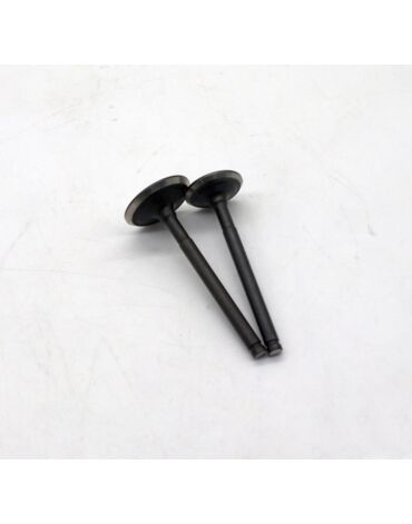 клапаны (впуск выпуск) 160FMK, YX150 160см3  d=23 28 (l=72 73) двигатель YX160