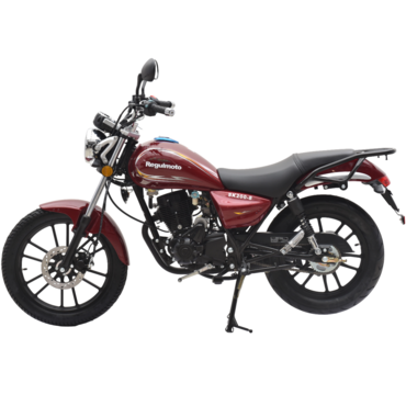 Мотоцикл Regulmoto SK 200 8 - миниатюра 6