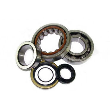 Комплект подшипников и сальников коленвала Allballs под мотоцикл KTM SX250 03 18, Husaberg TE250 11 14 - миниатюра 1