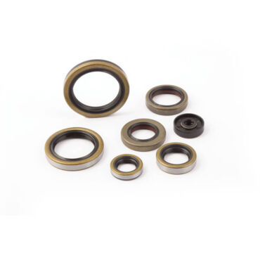 Комплект сальников двигателя KTM 250 300EXC 17 23 / Husqvarna TE250 300 17 23 / GasGas EC250 300 21 23 - миниатюра 2