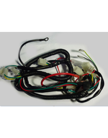 жгут проводов TTR125