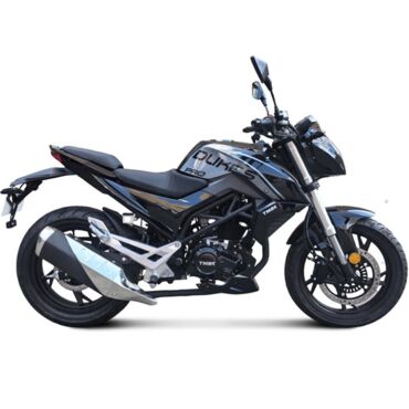 Дорожный мотоцикл TMBK Dukes PRO 250cc - миниатюра 3