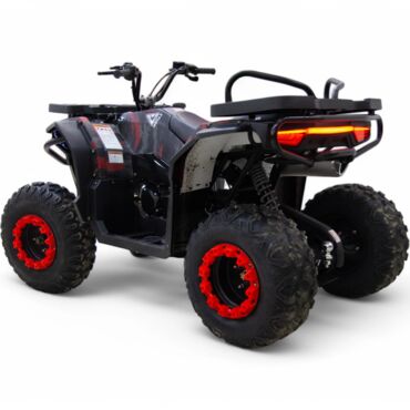 Квадроцикл бензиновый  MOTAX  GRIZLIK W200 - миниатюра 4