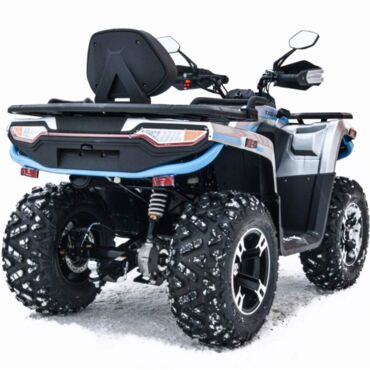 Квадроцикл Motoland 300 MAX X - миниатюра 4