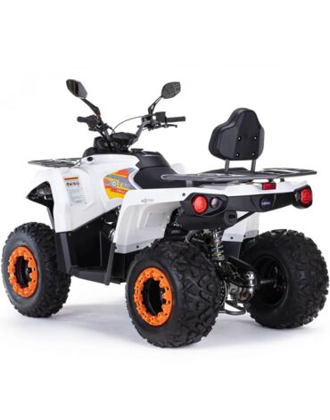 Квадроцикл бензиновый MOTAX GRIZLIK 200 ULTRA