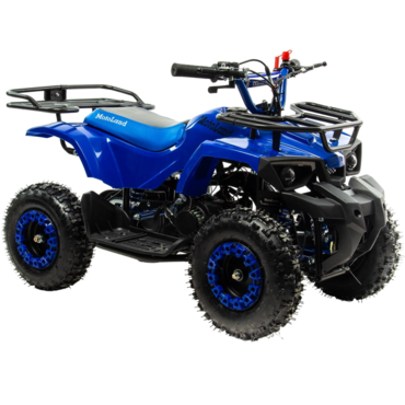 Квадроцикл Motoland  ATV SCORPION 50Е - миниатюра 3