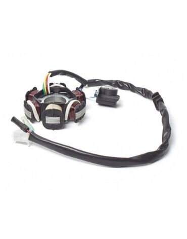 Статор генератора 4T 125 150сс 6 катушек CN