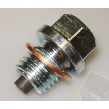 LS MAGNETIC OIL DRAIN PLUG M12x1.5 Болт магнитный сливной XR250 / X400 /  XL1000 / CRF1000 / CRF1100 ( 10012304 / 10002912  ) - миниатюра 1
