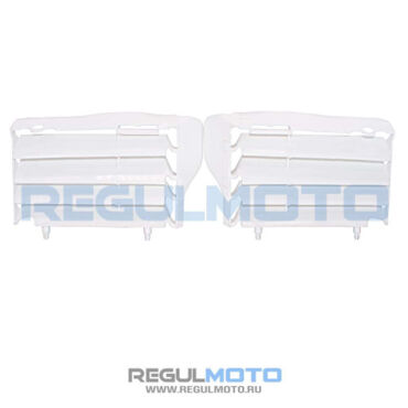 Решетка радиатора Regulmoto CR Z 300  - миниатюра 1