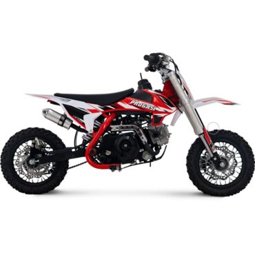 Питбайк Progasi KIDS POWER 110  (10 10) - миниатюра 9