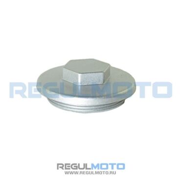Крышка регулировки клапанов ZS172FMM, ZS172FMM PR, Sport 003, ZR  - миниатюра 1