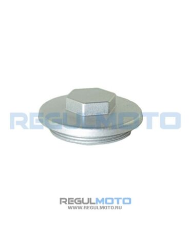 Крышка регулировки клапанов ZS172FMM, ZS172FMM PR, Sport 003, ZR 