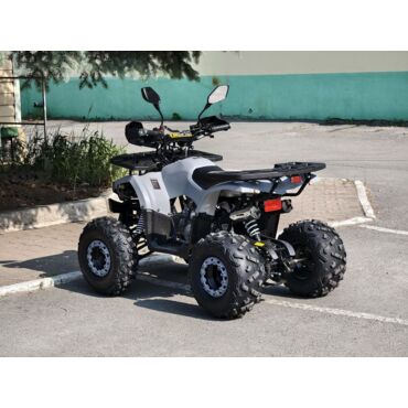 Квадроцикл Rmoto Lion 125 AА - миниатюра 8